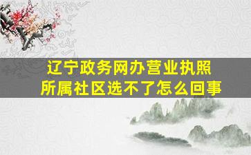 辽宁政务网办营业执照 所属社区选不了怎么回事